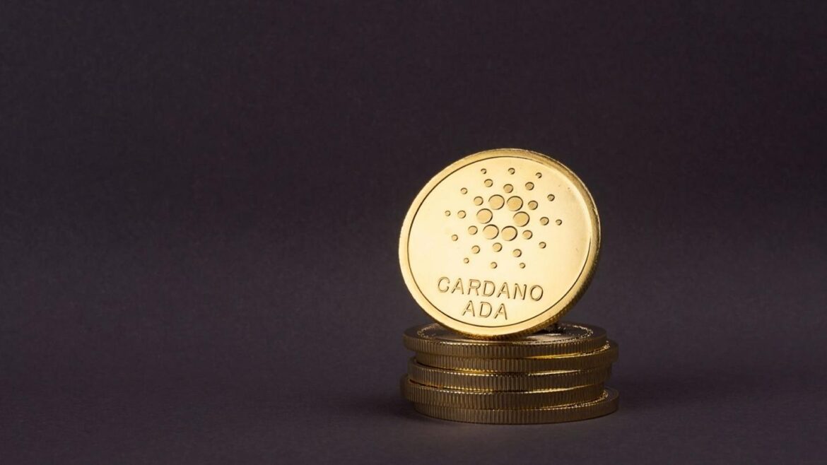 Research significant things about the cardano nft and make a good decision