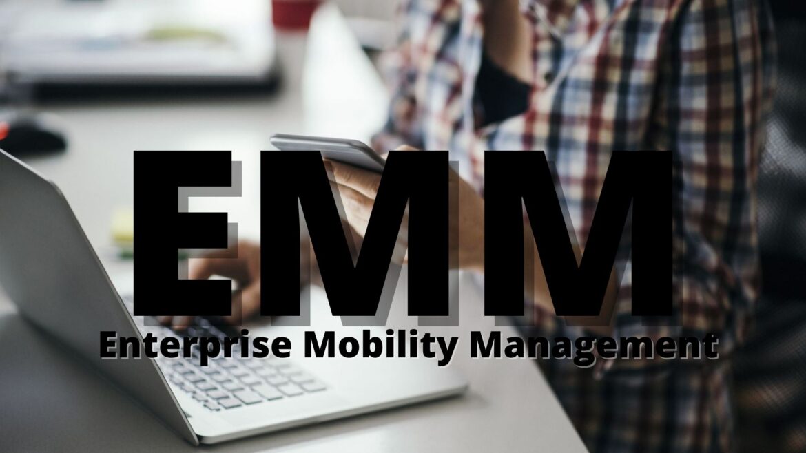 What Must Everyone Know About EMM Software?